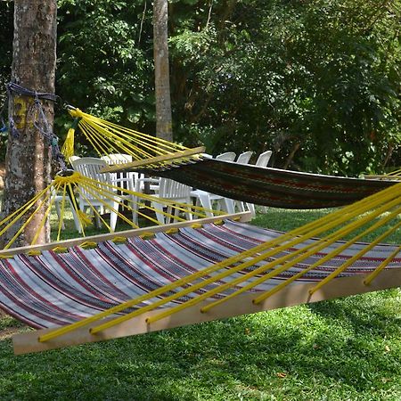Jungle Beach Hostel 우나와투나 외부 사진